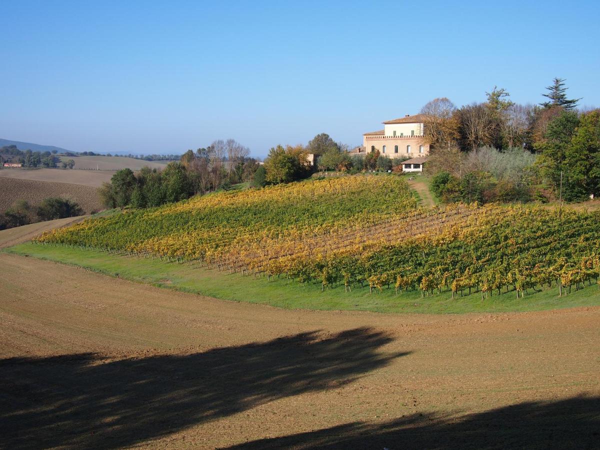 Agriturismo Poggiarellino - Montalcino Zewnętrze zdjęcie