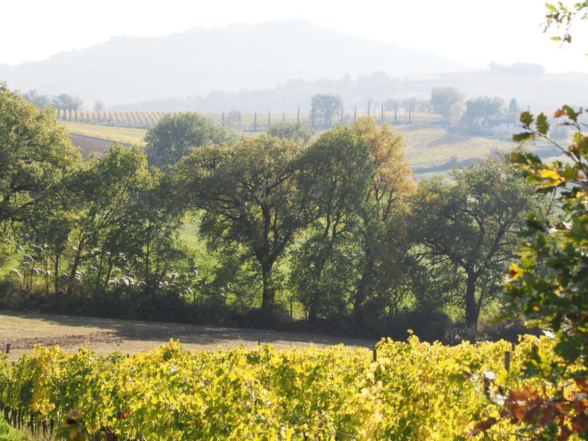 Agriturismo Poggiarellino - Montalcino Zewnętrze zdjęcie