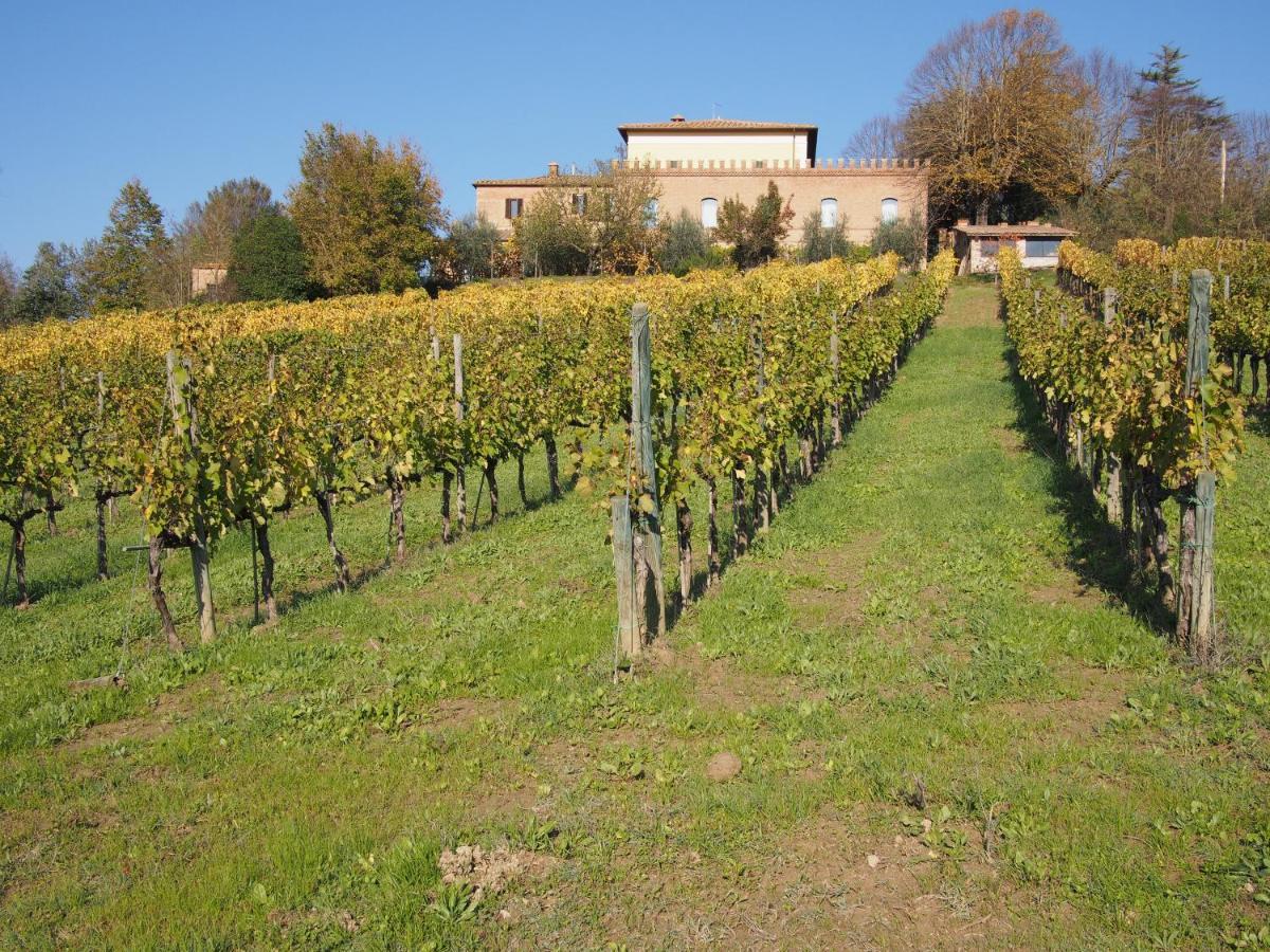 Agriturismo Poggiarellino - Montalcino Zewnętrze zdjęcie