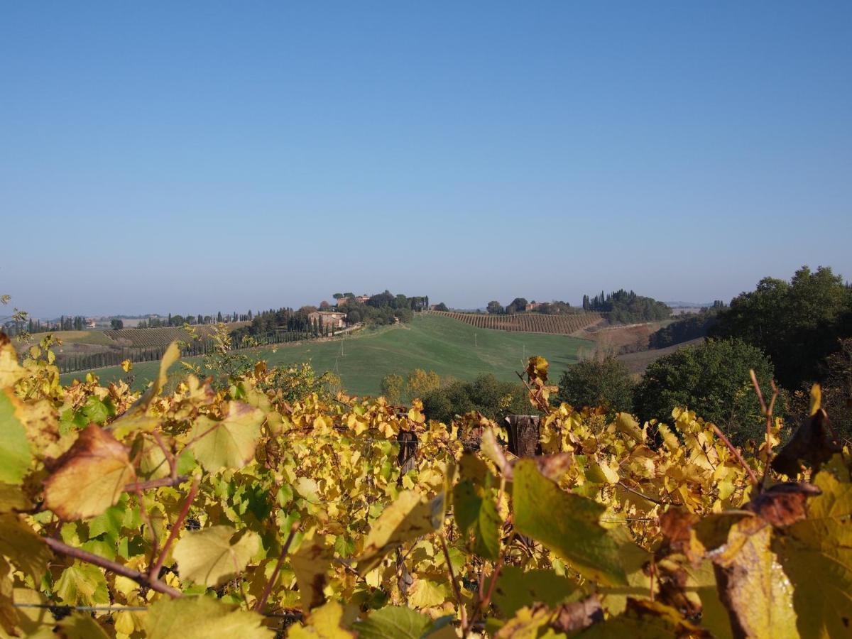 Agriturismo Poggiarellino - Montalcino Zewnętrze zdjęcie