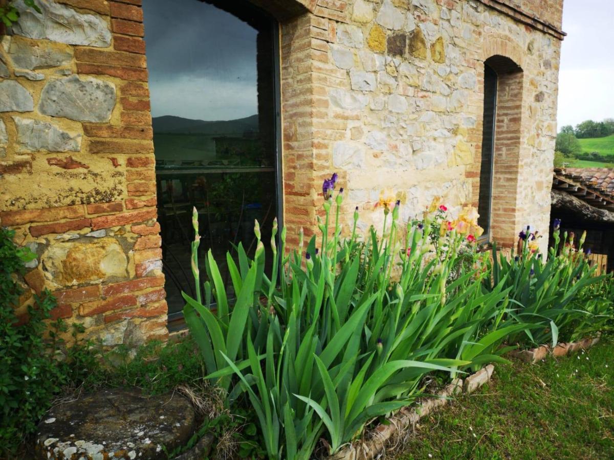Agriturismo Poggiarellino - Montalcino Zewnętrze zdjęcie