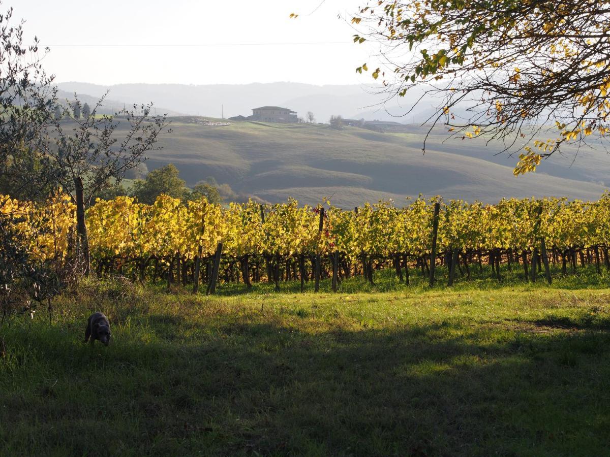 Agriturismo Poggiarellino - Montalcino Zewnętrze zdjęcie