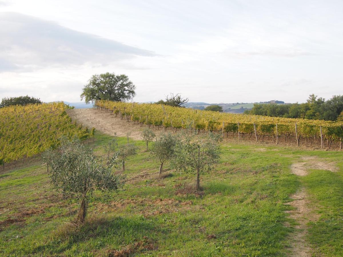 Agriturismo Poggiarellino - Montalcino Zewnętrze zdjęcie
