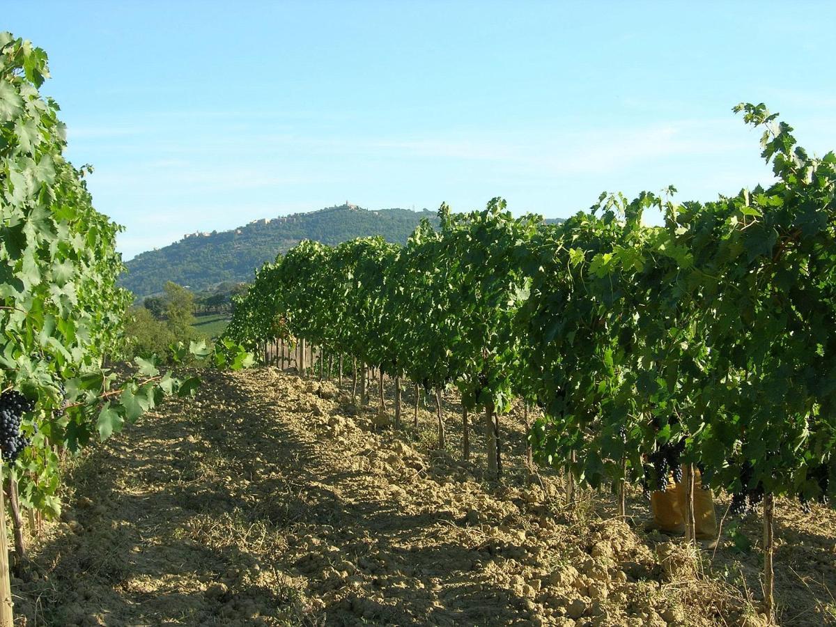 Agriturismo Poggiarellino - Montalcino Zewnętrze zdjęcie