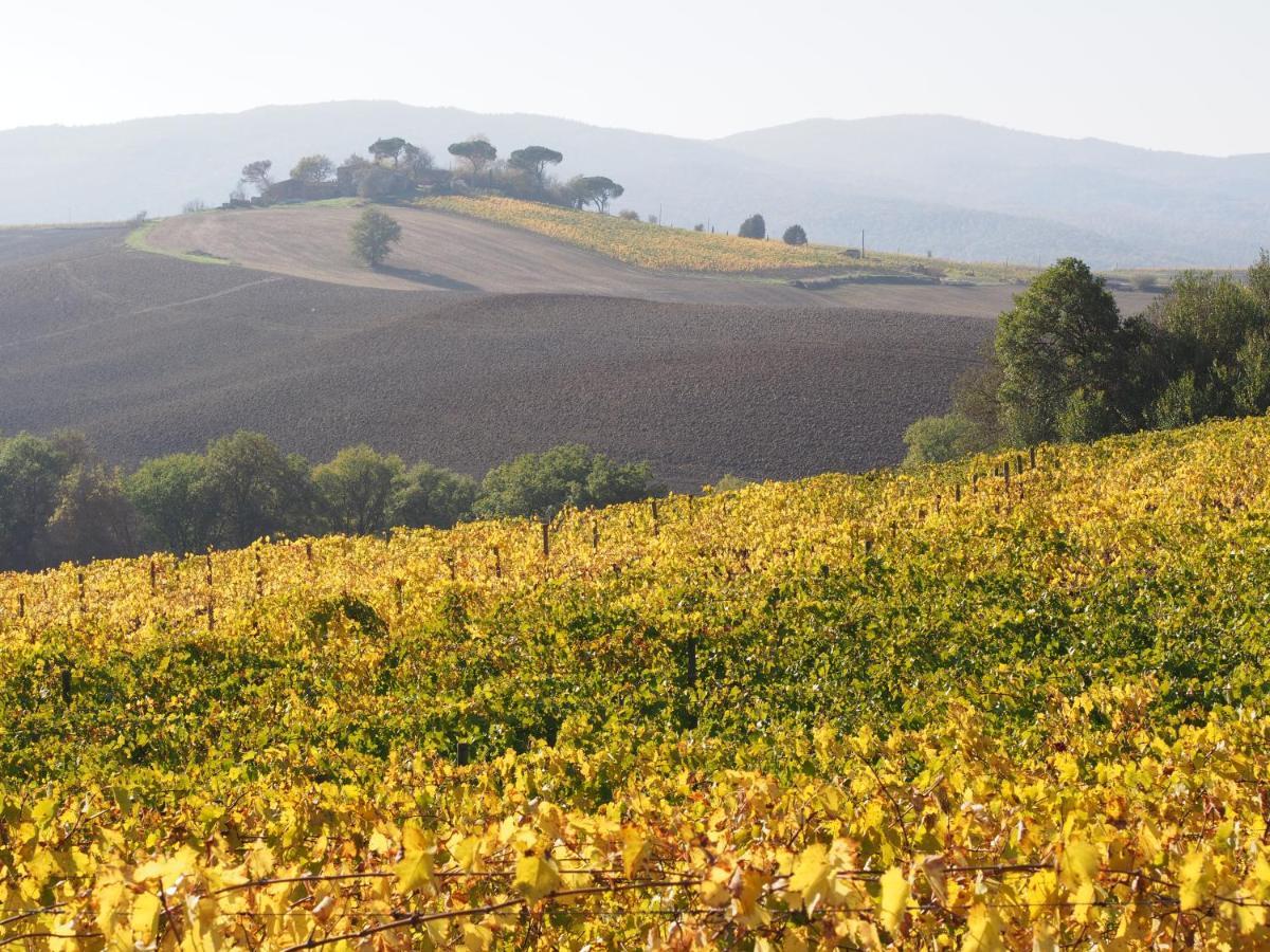 Agriturismo Poggiarellino - Montalcino Zewnętrze zdjęcie