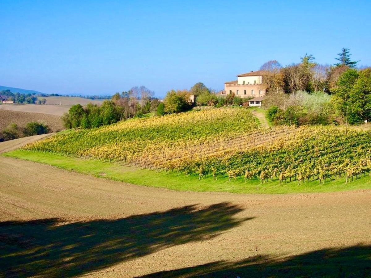 Agriturismo Poggiarellino - Montalcino Zewnętrze zdjęcie